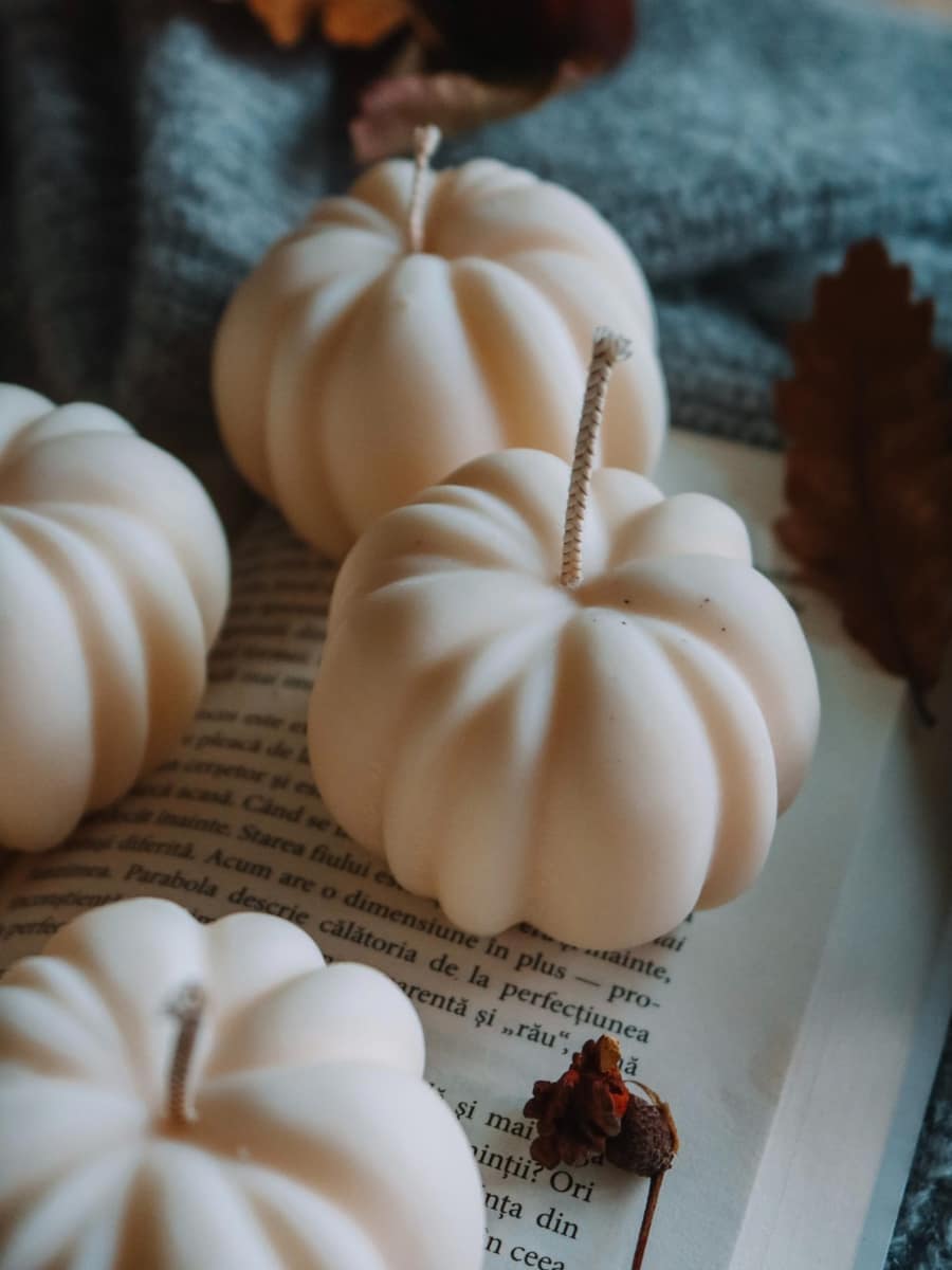Pumpkin - imagine 9